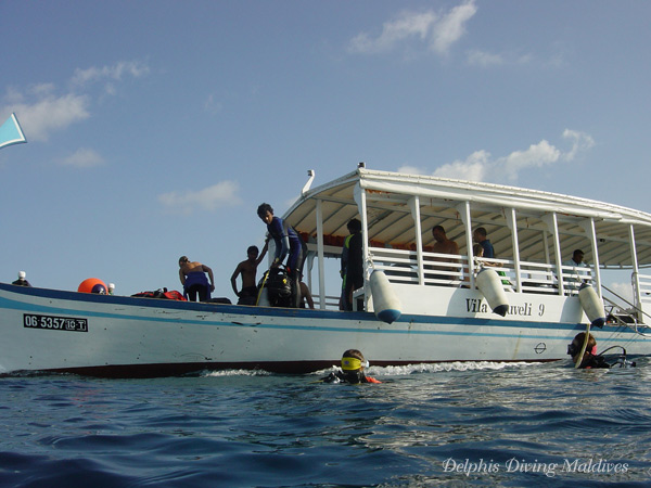 Diving Maldives