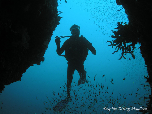 Diving Maldives
