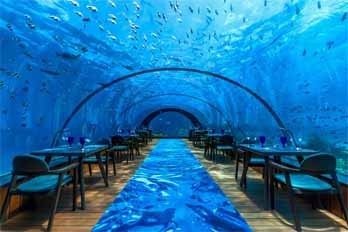 Hurawalhi Maldives-maldivespackage